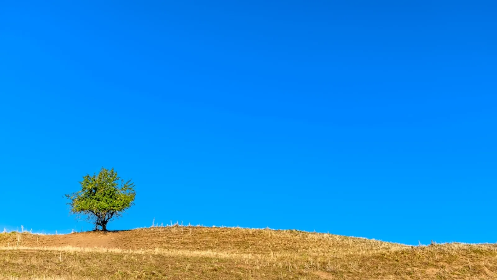 Florina greece vacation packages